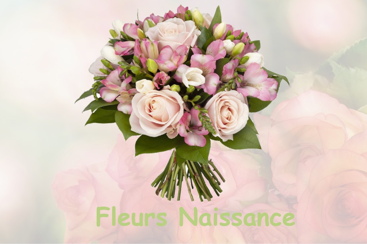 fleurs naissance LA-BASSE-VAIVRE
